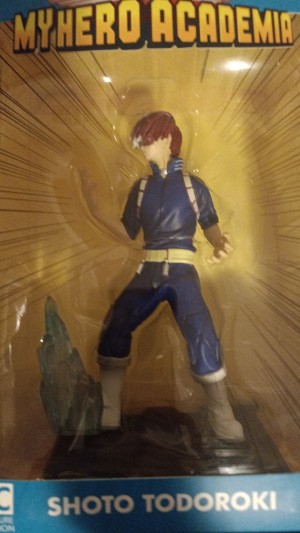 Photo de Shoto Todoroki