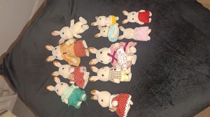 Photo de lapins