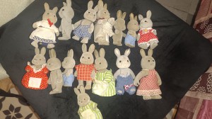 Photo de lapins