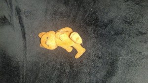 Photo de renard